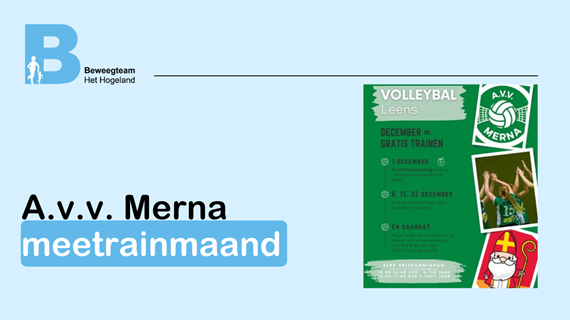 Website format Hogeland Beweegt 
